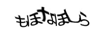 Authentication image
